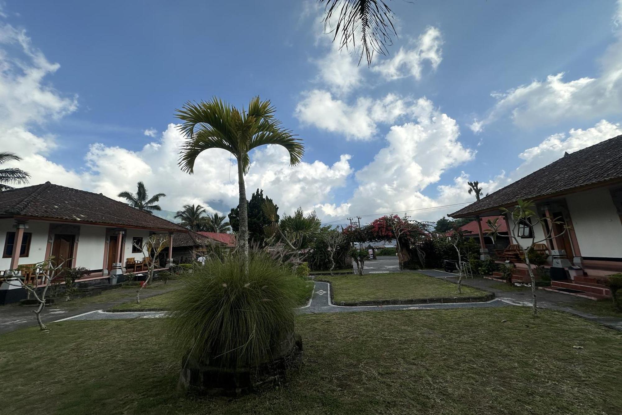Arlina'S Hotel Kintamani Dış mekan fotoğraf